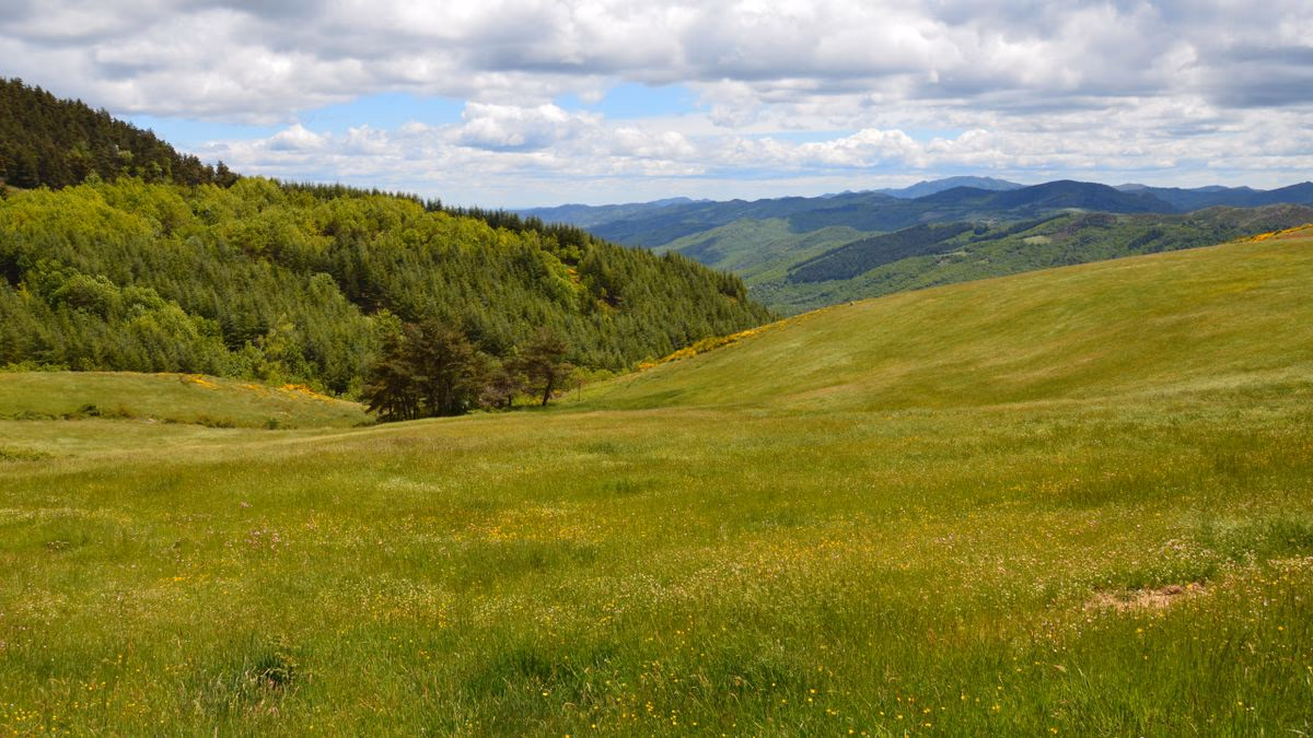  Randonnée Aigoual et plateau des Bondons : mégalithes du Gard